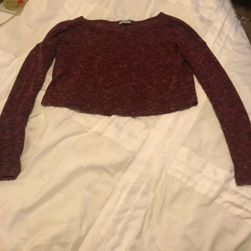 Tobi cropped maroon sweater